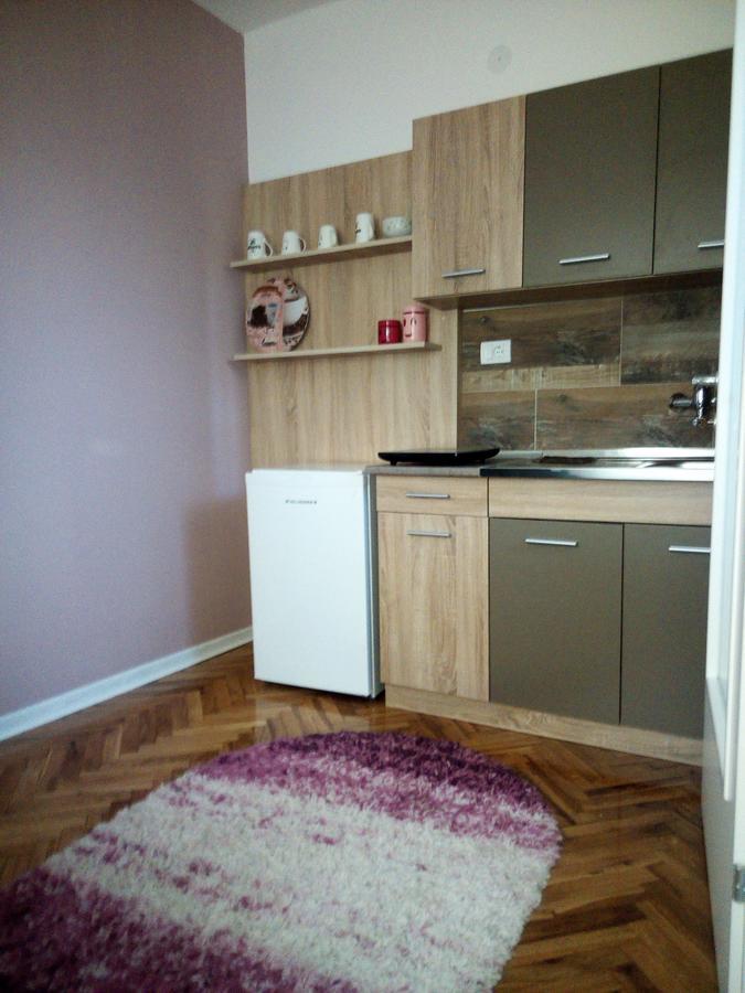 Apartment Holiday Vrnjačka Banja المظهر الخارجي الصورة